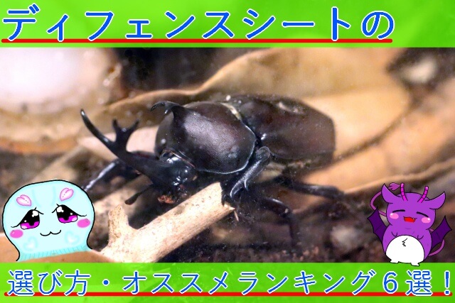 Thumbnail of post image 031